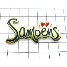 ピンバッジ・アルプスのスキー場 SAMOENS